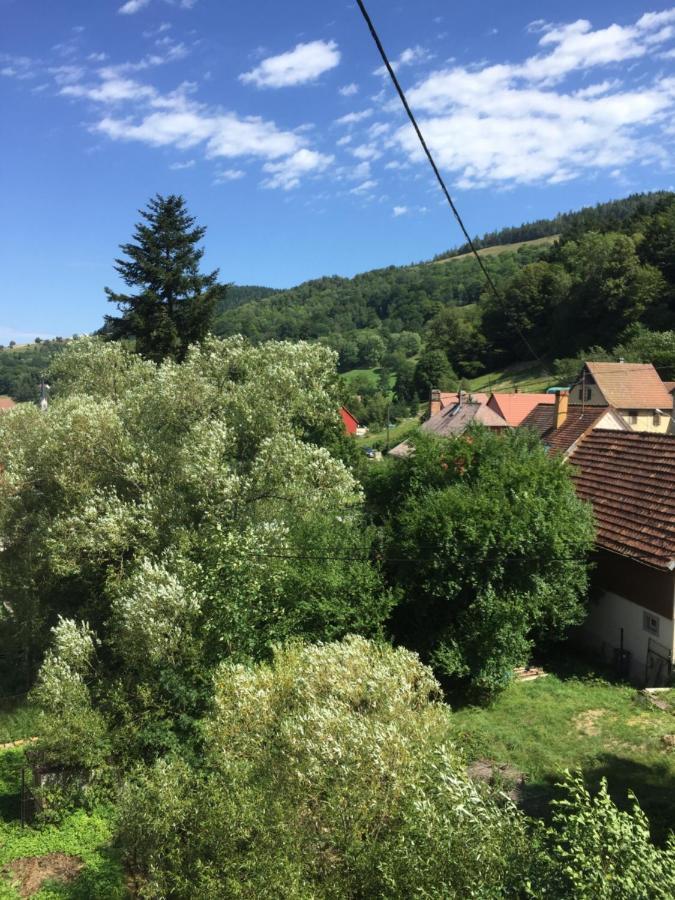 Sondernach Chambres D'Hotes A La Fecht Nature Et Bien-Etre מראה חיצוני תמונה