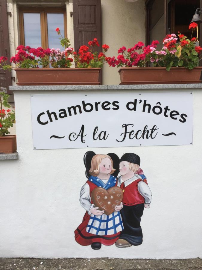 Sondernach Chambres D'Hotes A La Fecht Nature Et Bien-Etre מראה חיצוני תמונה